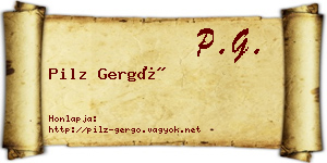 Pilz Gergő névjegykártya